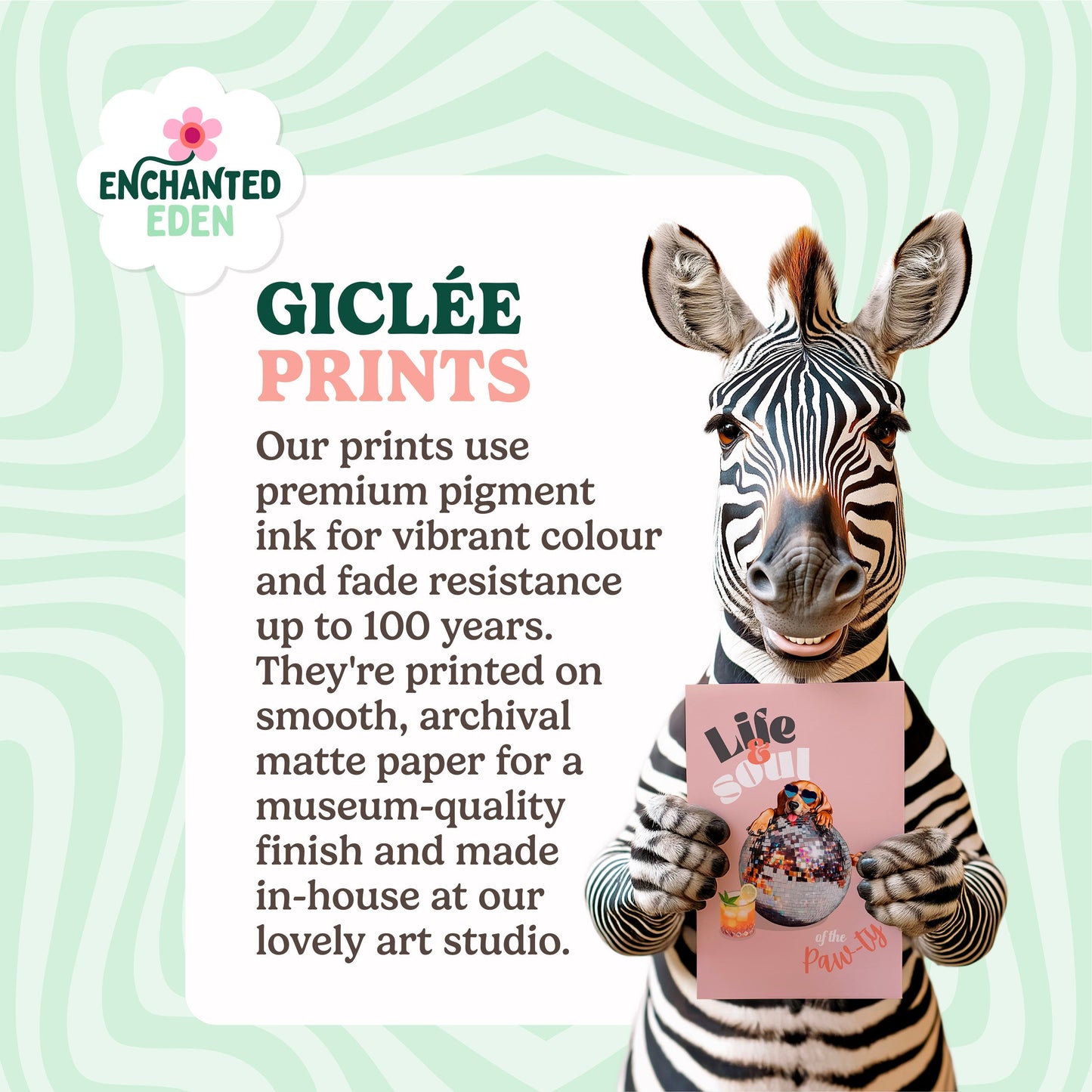 a picture of a zebra holding a sign