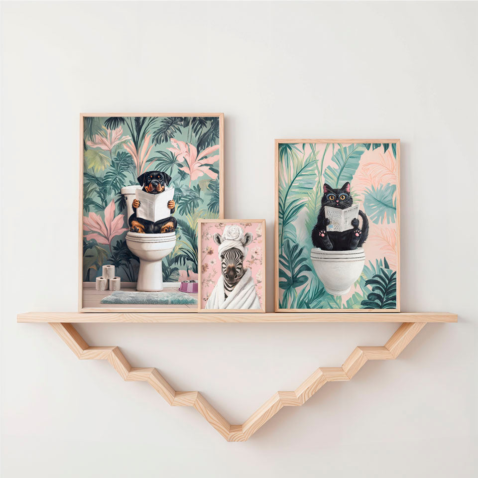 a shelf with two pictures of cats on it
